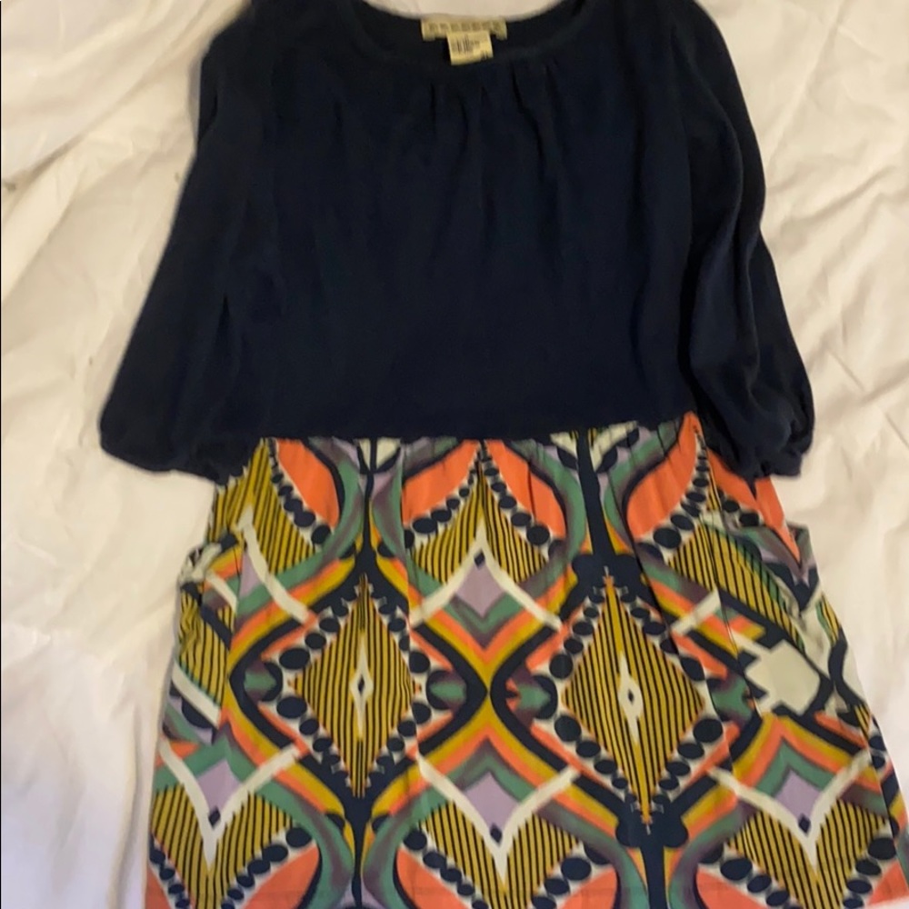 Anthem of the Ants dress